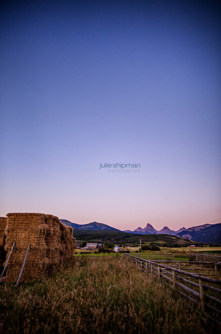 "Purple Mountain Majesty; adventures on a ranch in Alta, Wyoming, on the west side of the Teton Mountains." stock image