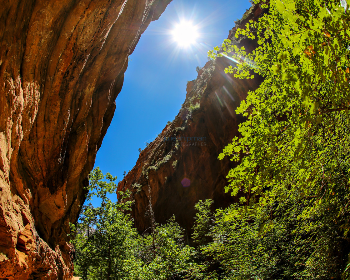 "Looking up at bright blue skys, sun rays and cliff faces during adventures in Zion National Park, Utah, USA." stock image