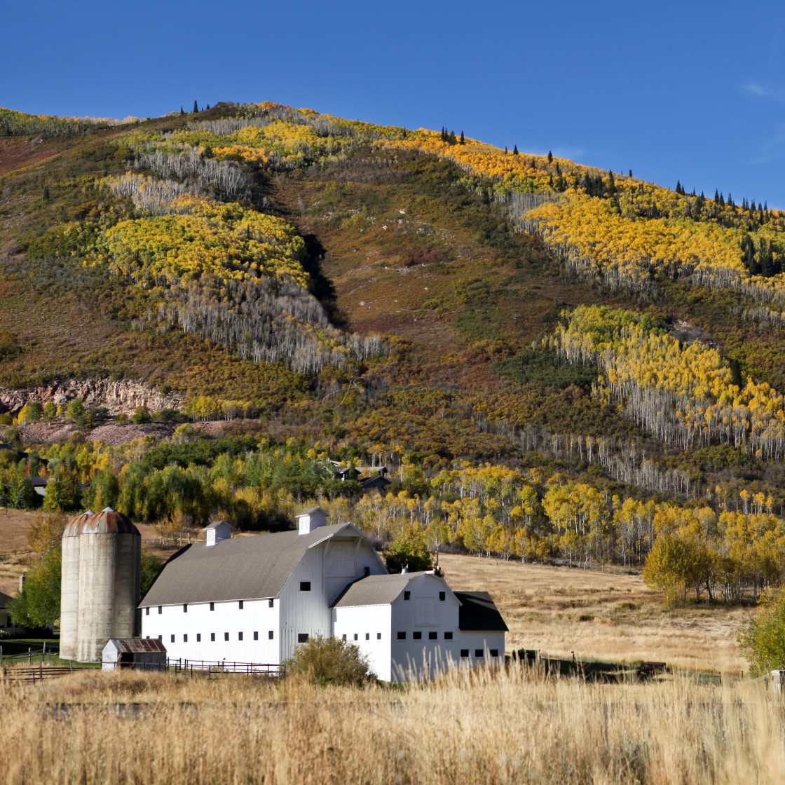 "Autumn at the barn in Park City, McPolin Farm." stock image