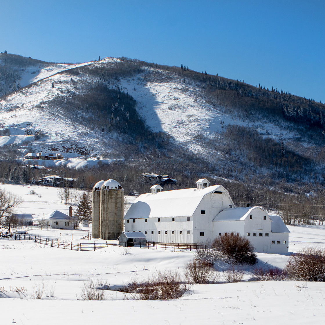 "Winter at the barn in Park City, McPolin Farm." stock image