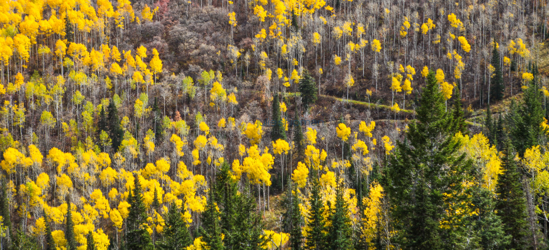 "Autumn in Park City, Utah" stock image