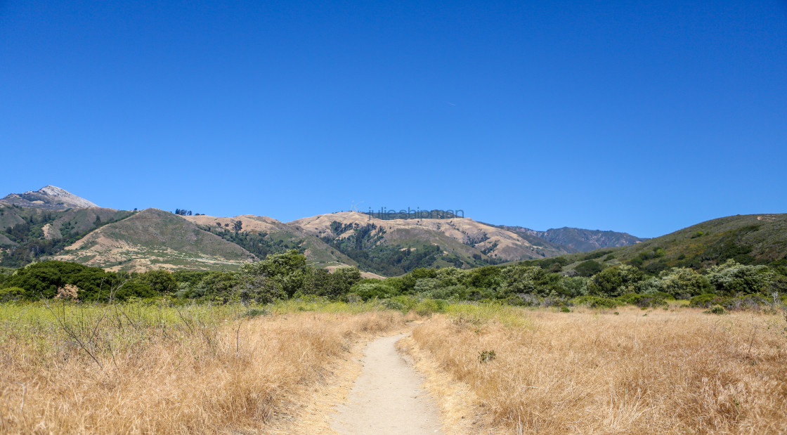 "looking up a dirt trail in Big Sur along central California." stock image