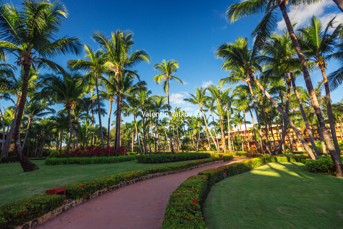 "Pathway and tropical garden in beach resort, Punta Cana" stock image