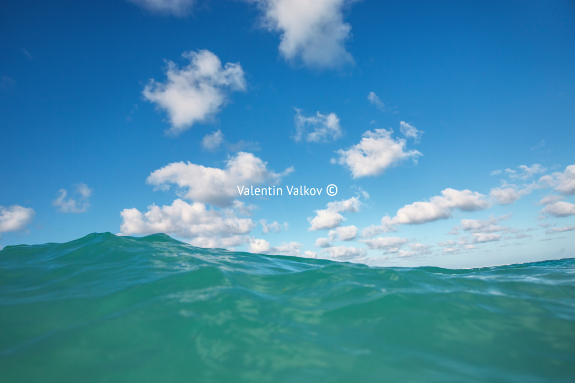 "Sea wave close up, low angle view" stock image