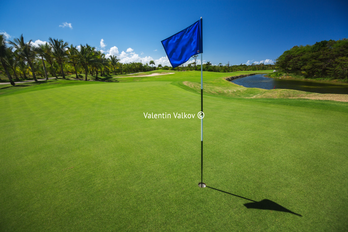 "Golf course. Beautiful landscape of a golf court with palm trees" stock image