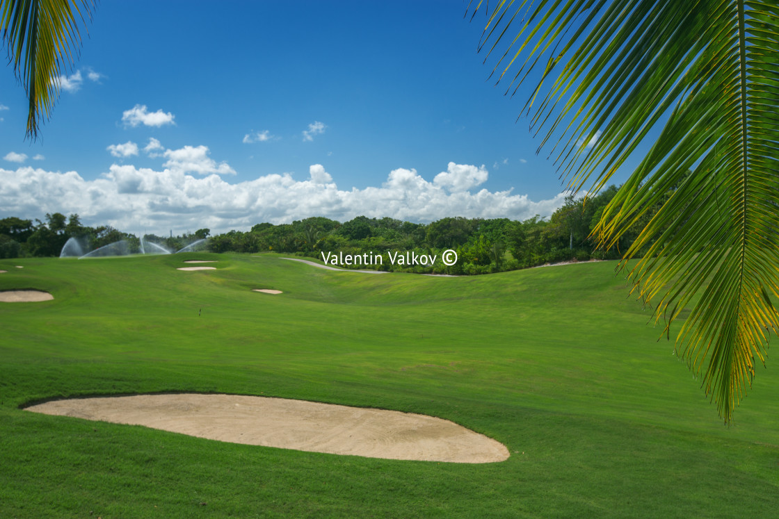 "Golf course. Beautiful landscape of a golf court with palm trees" stock image