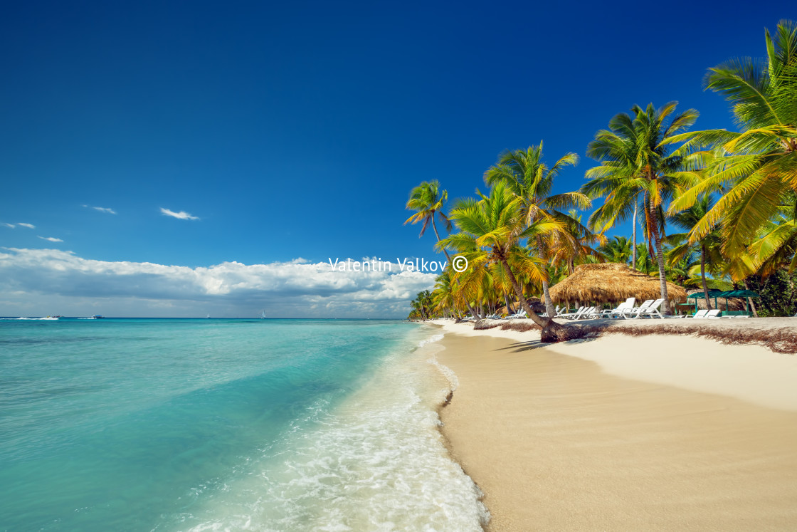 "Landscape of paradise tropical island beach" stock image