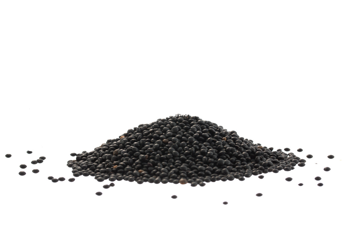 "Heap of black lentils isolated on white" stock image