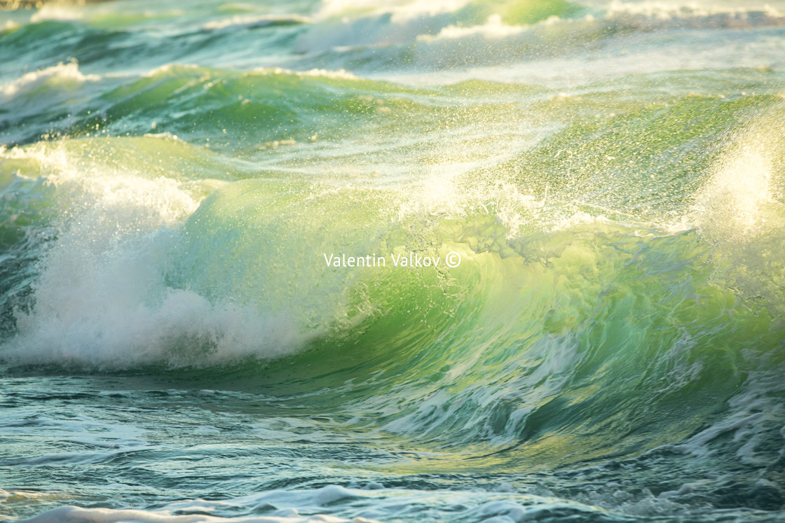 "Rough colored ocean wave breaking down, sunrise shot" stock image