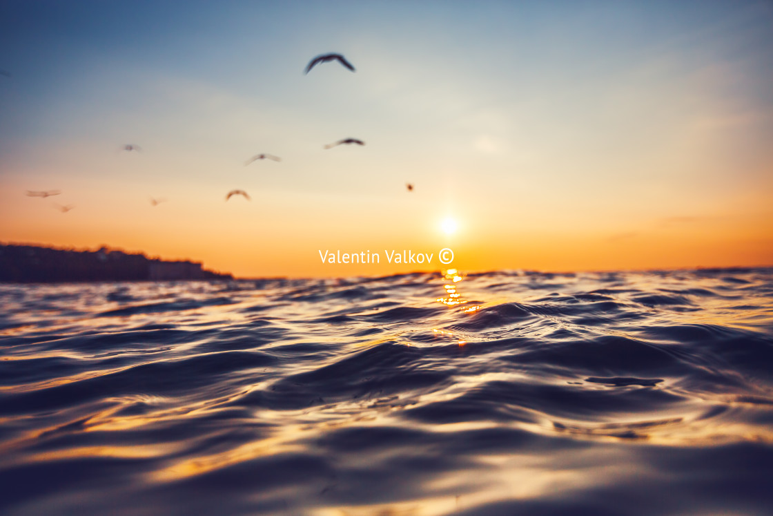 "Sunrise and shining waves in ocean" stock image