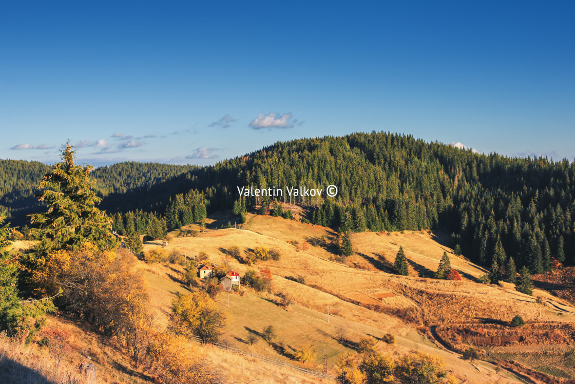 "Mountain autumn landscape with colorful forest and traditional h" stock image