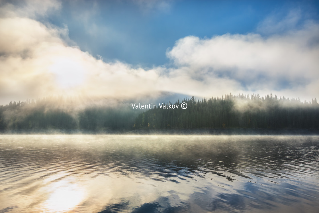 "Morning fog on the lake" stock image