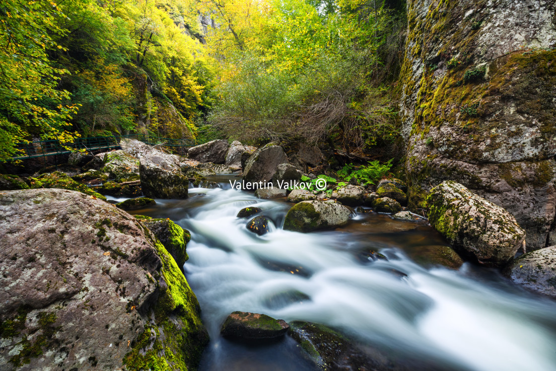 "Mountain river flowing through the green forest" stock image