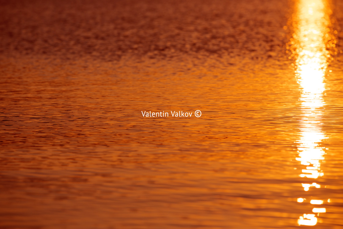 "Sunrise and shining waves in ocean" stock image