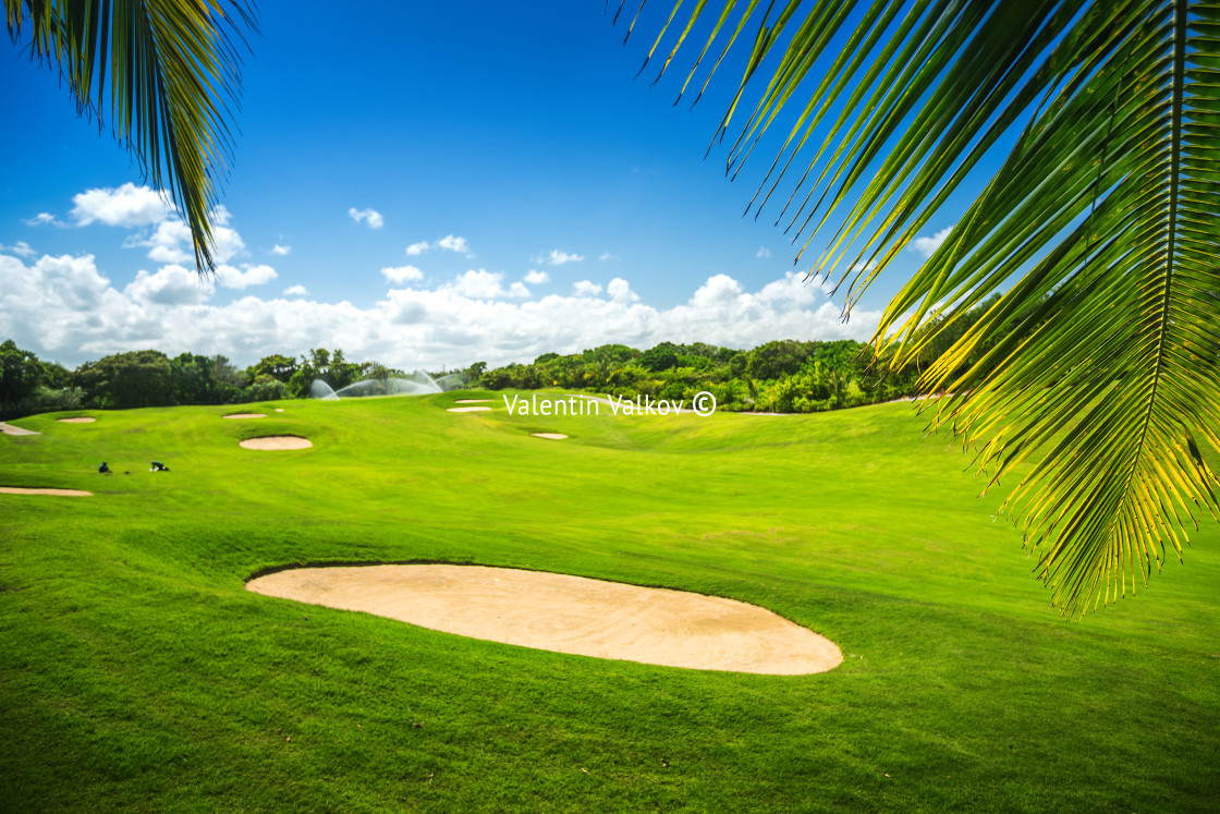 "Beautiful landscape of a golf court with palm trees in Punta Can" stock image