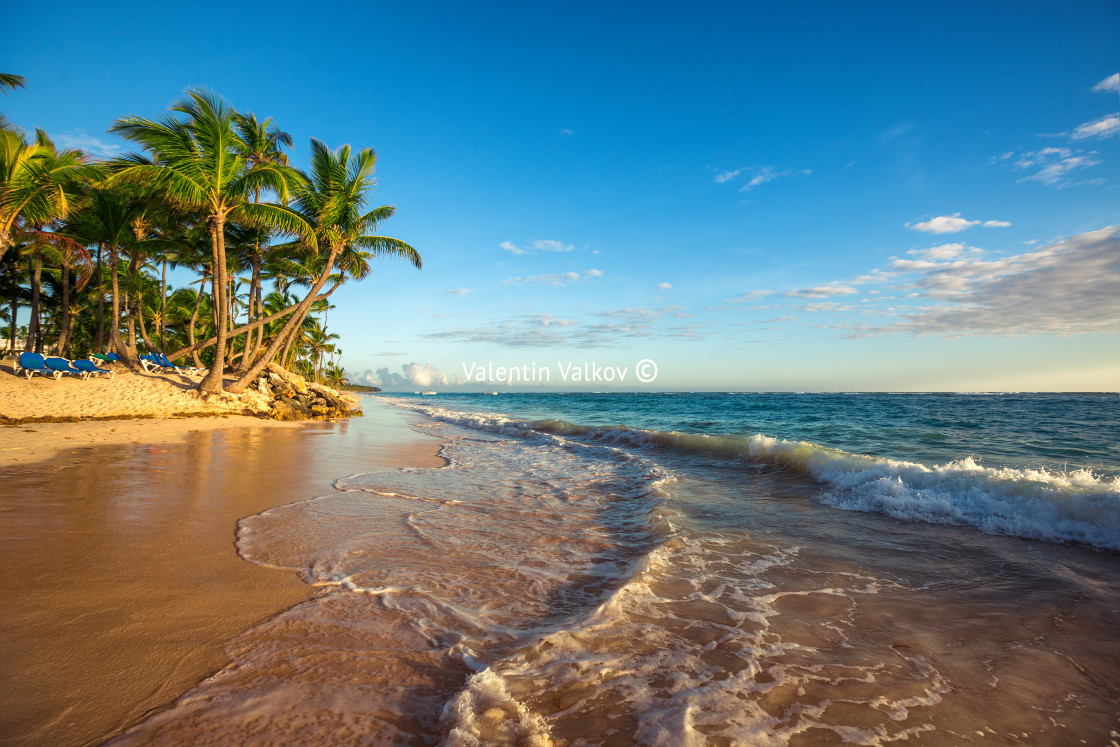 "Landscape of paradise tropical island beach" stock image