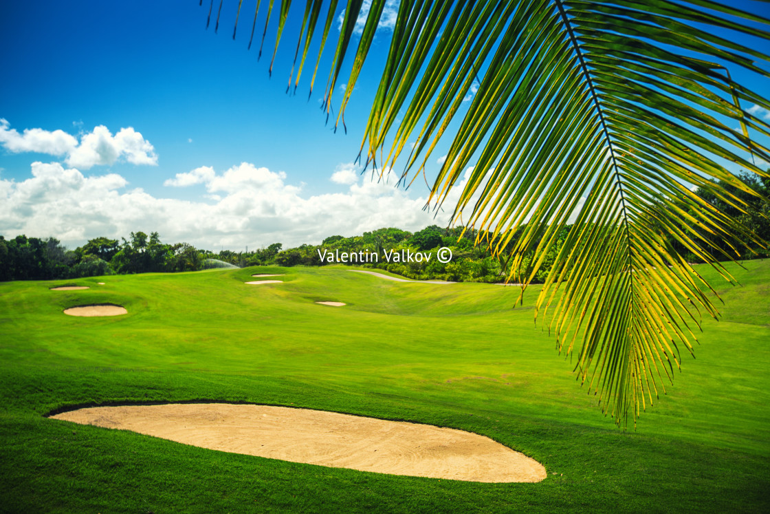 "Beautiful landscape of a golf court with palm trees in Punta Can" stock image