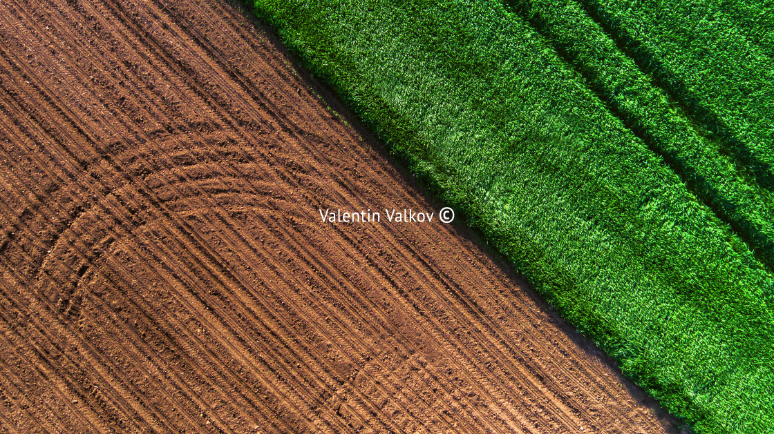 "Aerial view over the agricultural fields" stock image