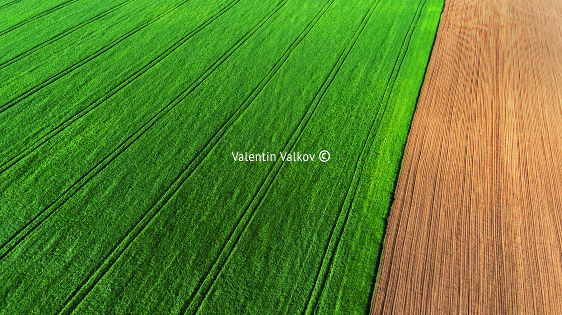 "Aerial view over the agricultural fields" stock image