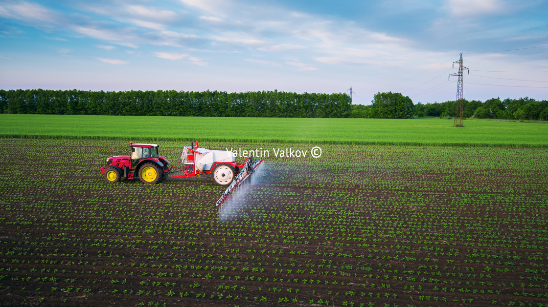 "Tractor spraying field at spring" stock image