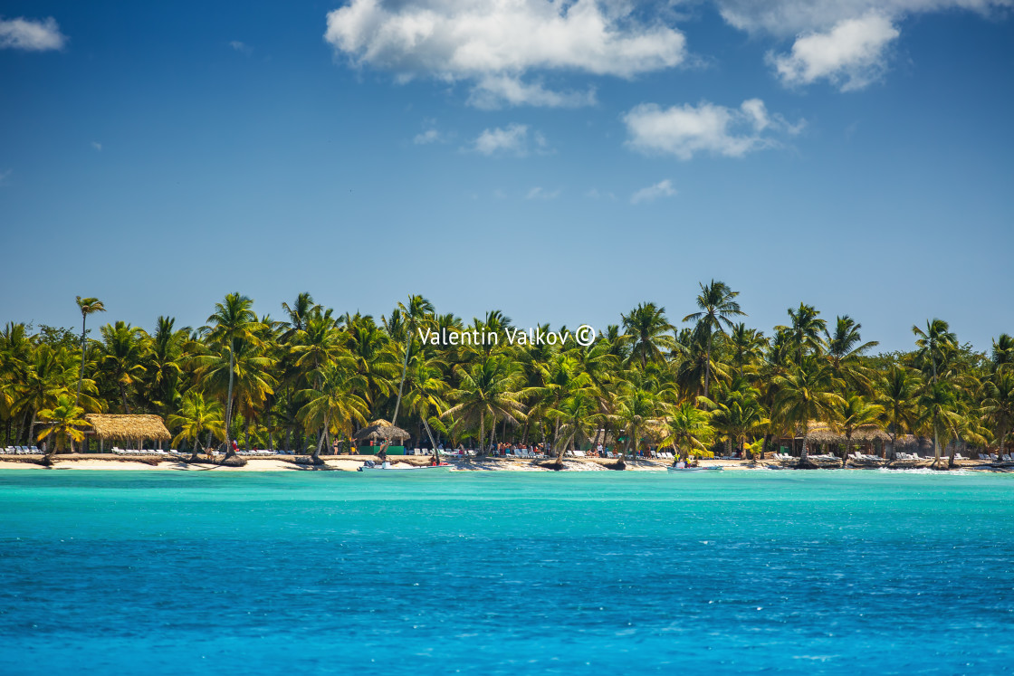 "Palm trees on the tropical beach, Dominican Republic" stock image