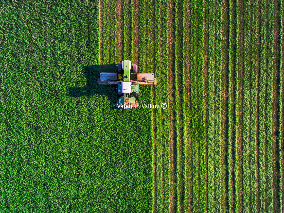 "Tractor mowing green field" stock image