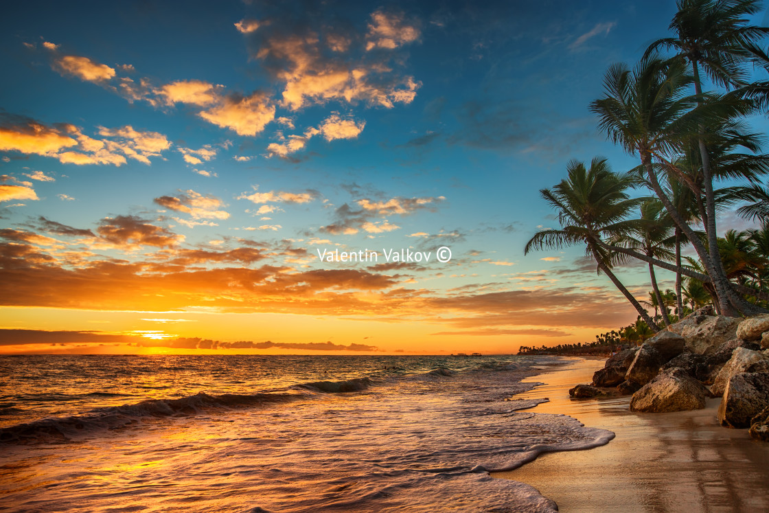 "Sunrise on a tropical island. Landscape of paradise tropical isl" stock image