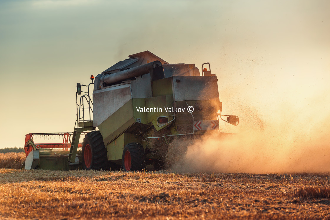 "Combine harvester agriculture machine harvesting golden ripe whe" stock image