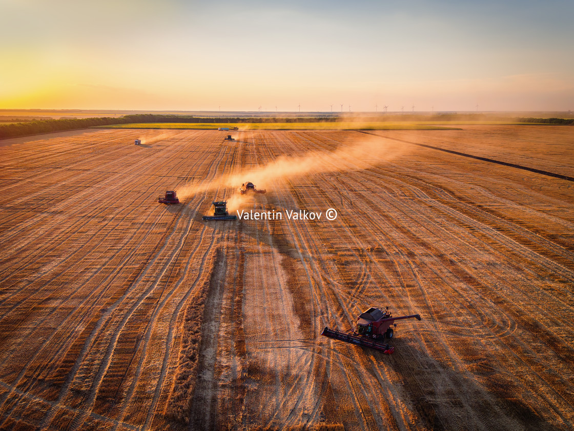 "Aerial view of Combine harvester agriculture machine harvesting" stock image