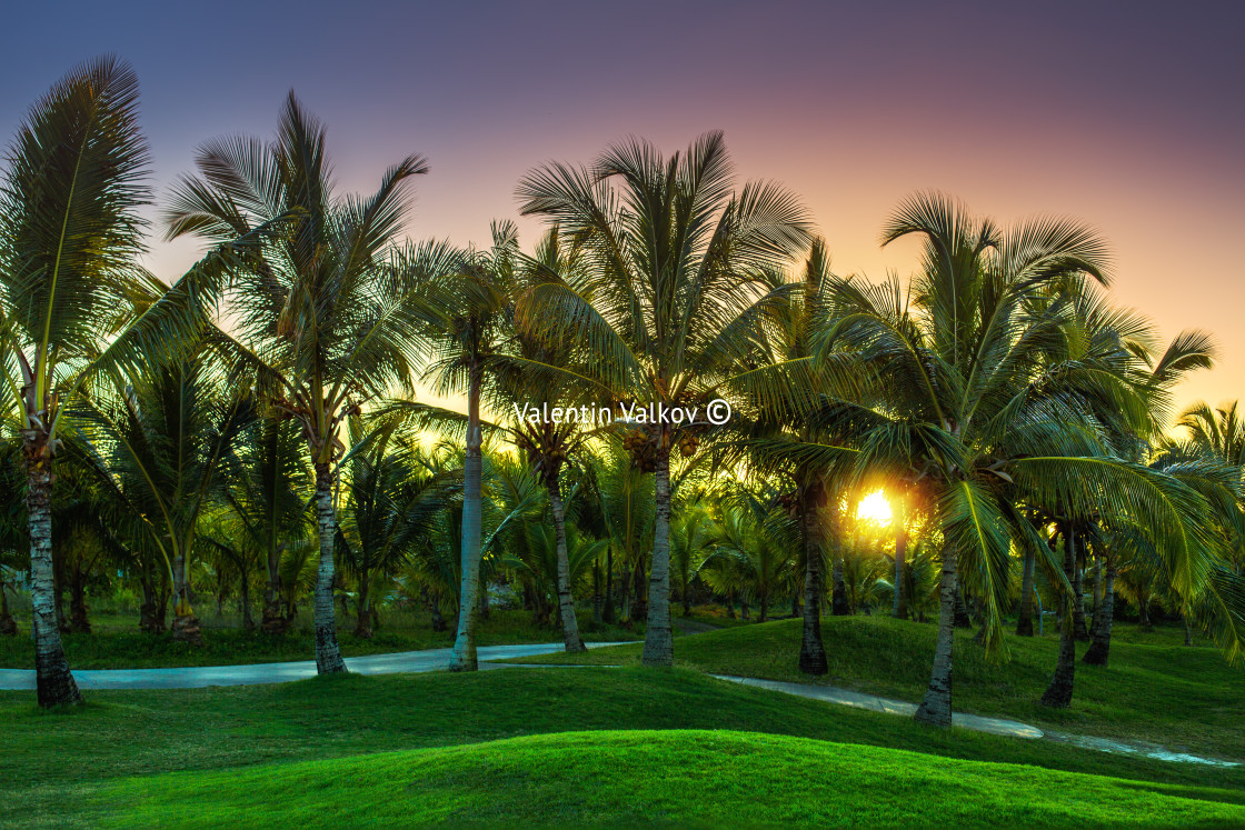 "Golf course in the countryside" stock image