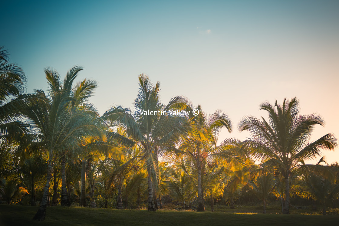 "Golf course in the countryside" stock image