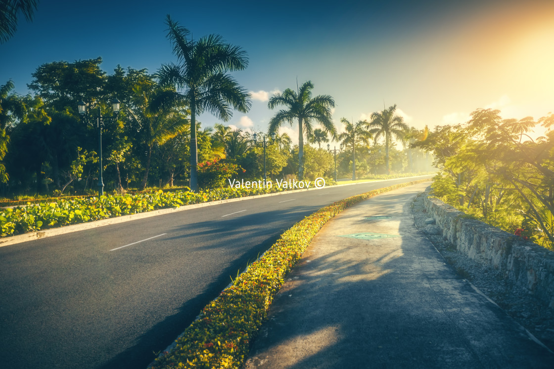 "Tropical garden and pathway toward luxury resort in Punta Cana," stock image