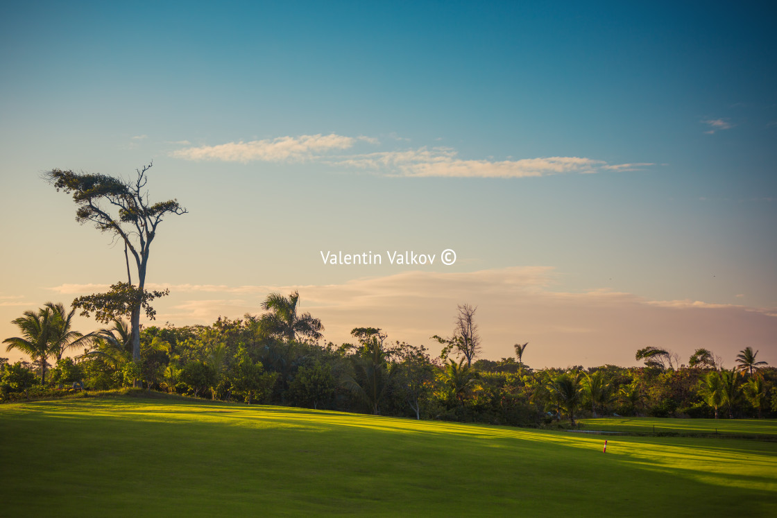 "Golf course in the countryside" stock image