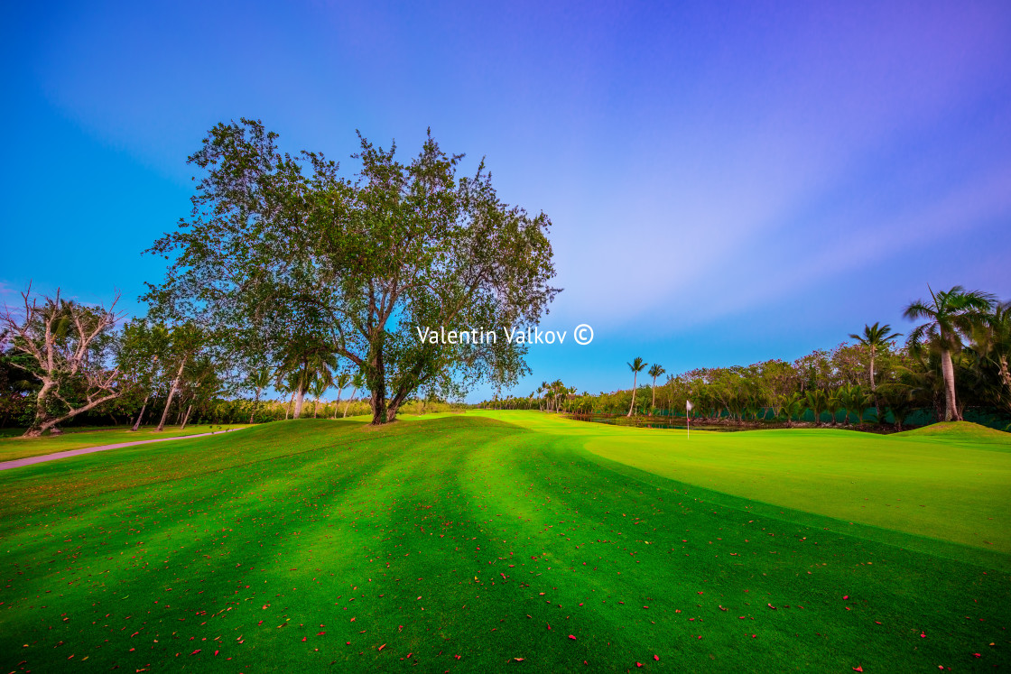 "Golf course with tropical palm trees and lake in Punta Cana. Dom" stock image