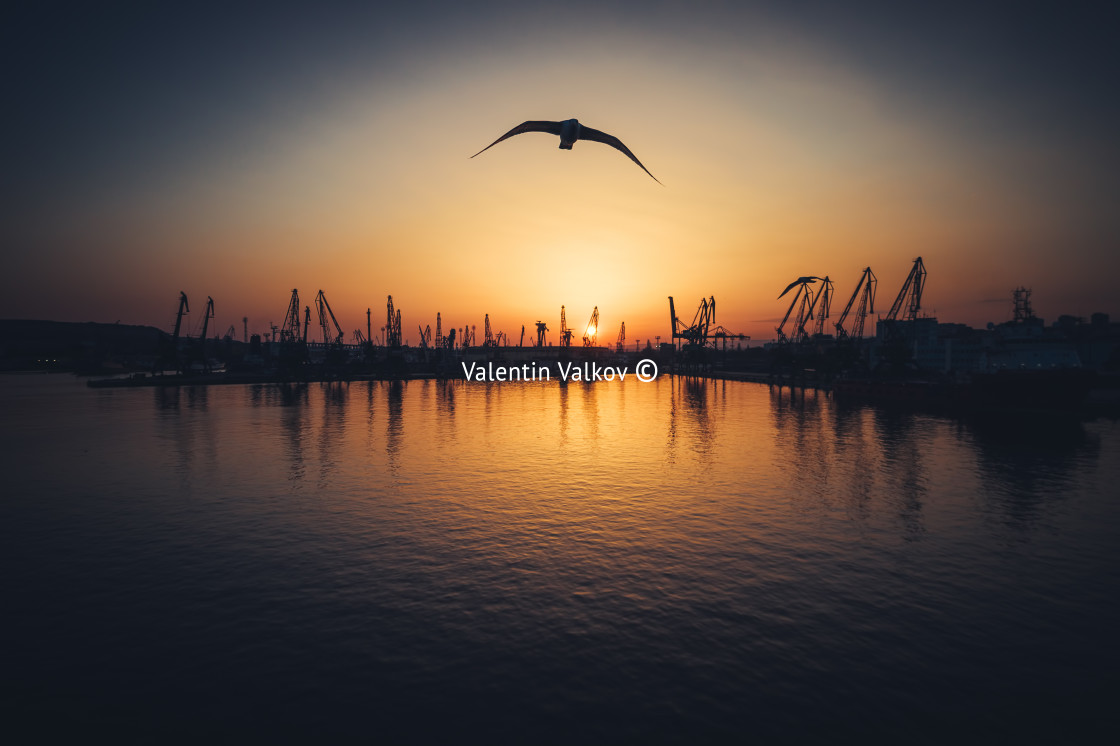 "Aerial view of Varna sea port and industrial cranes, Bulgaria." stock image