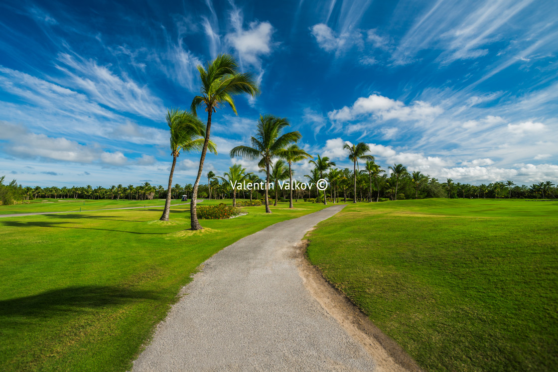 "Golf course in the countryside" stock image