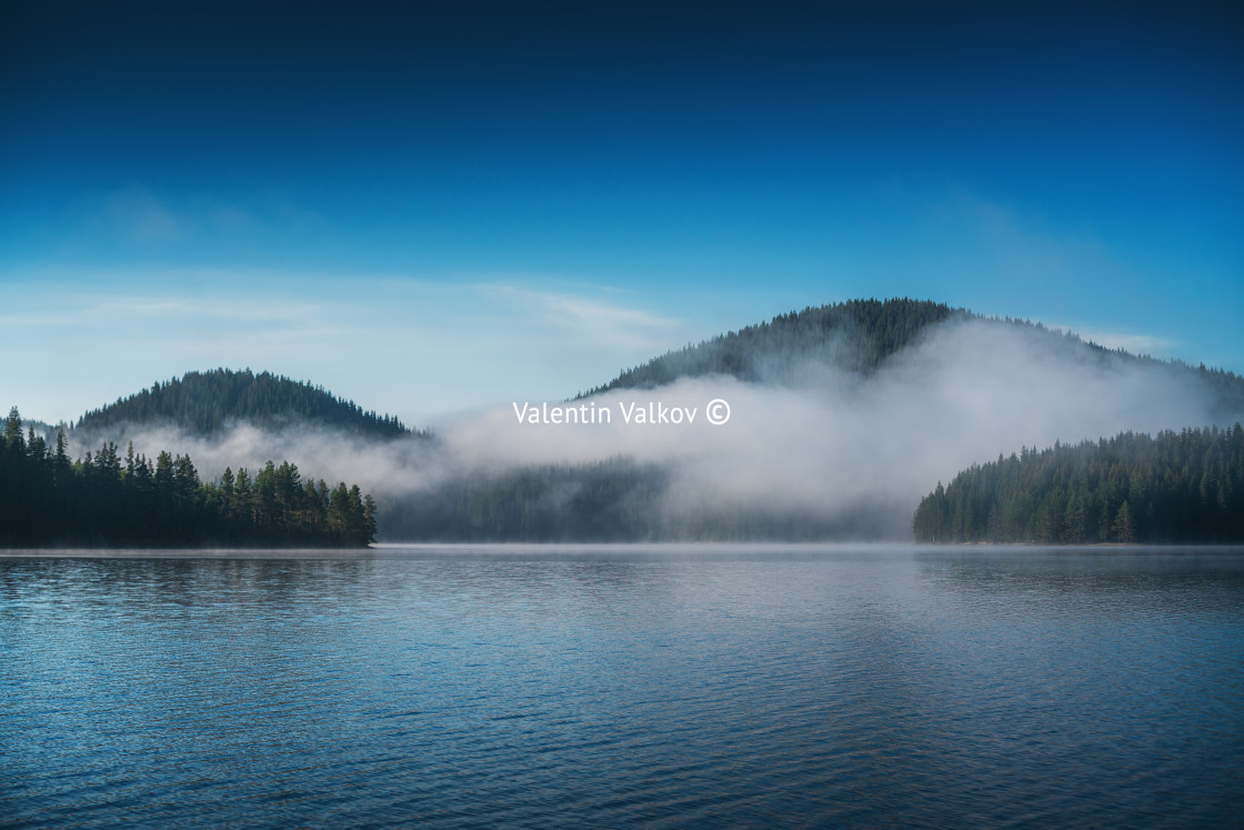 "Morning fog on the lake" stock image