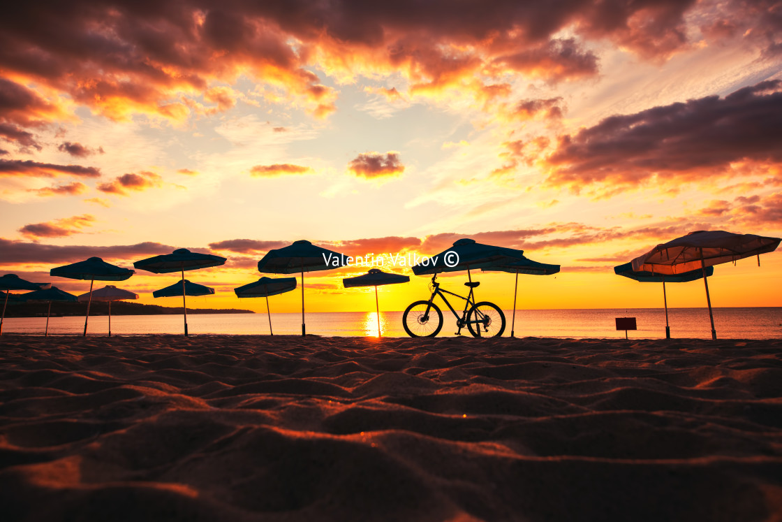 "Silhouette of Beach Umbrellas" stock image