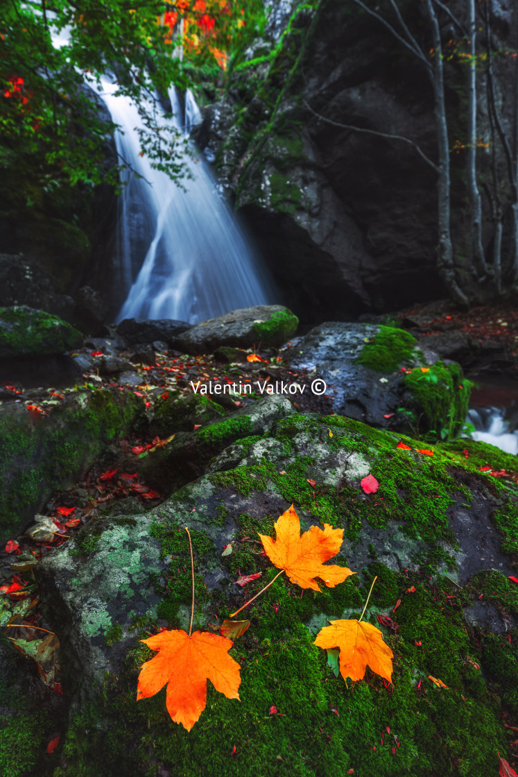 "Waterfall in autumn forest" stock image