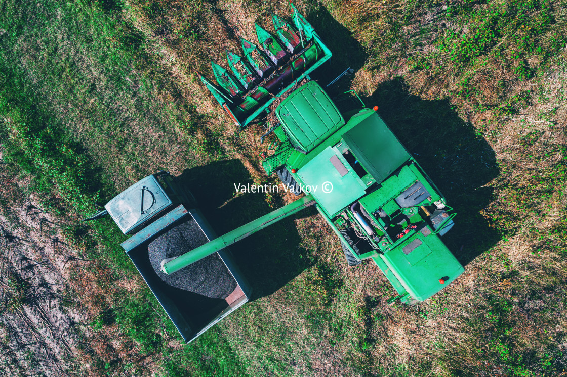 "Aerial view of Combine harvester agriculture machine harvesting" stock image