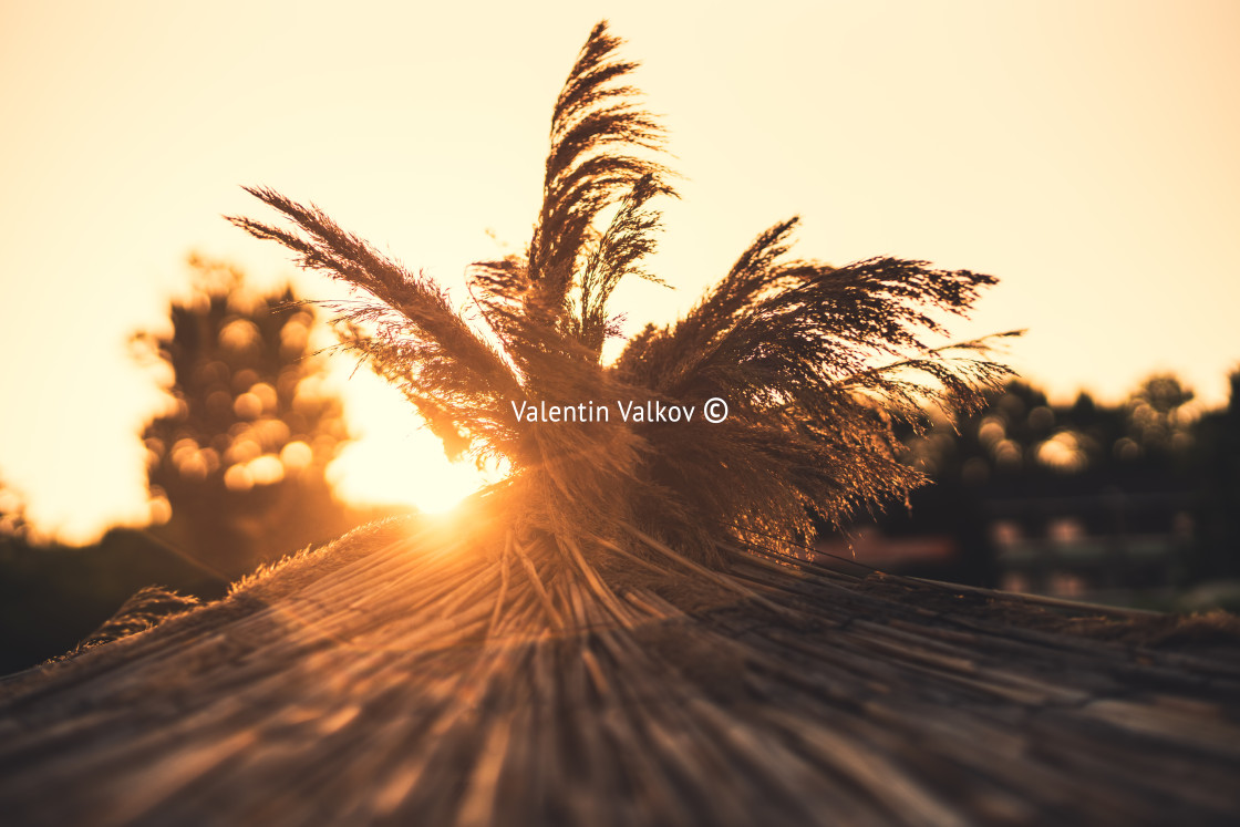 "Beach umbrela. Summer view" stock image