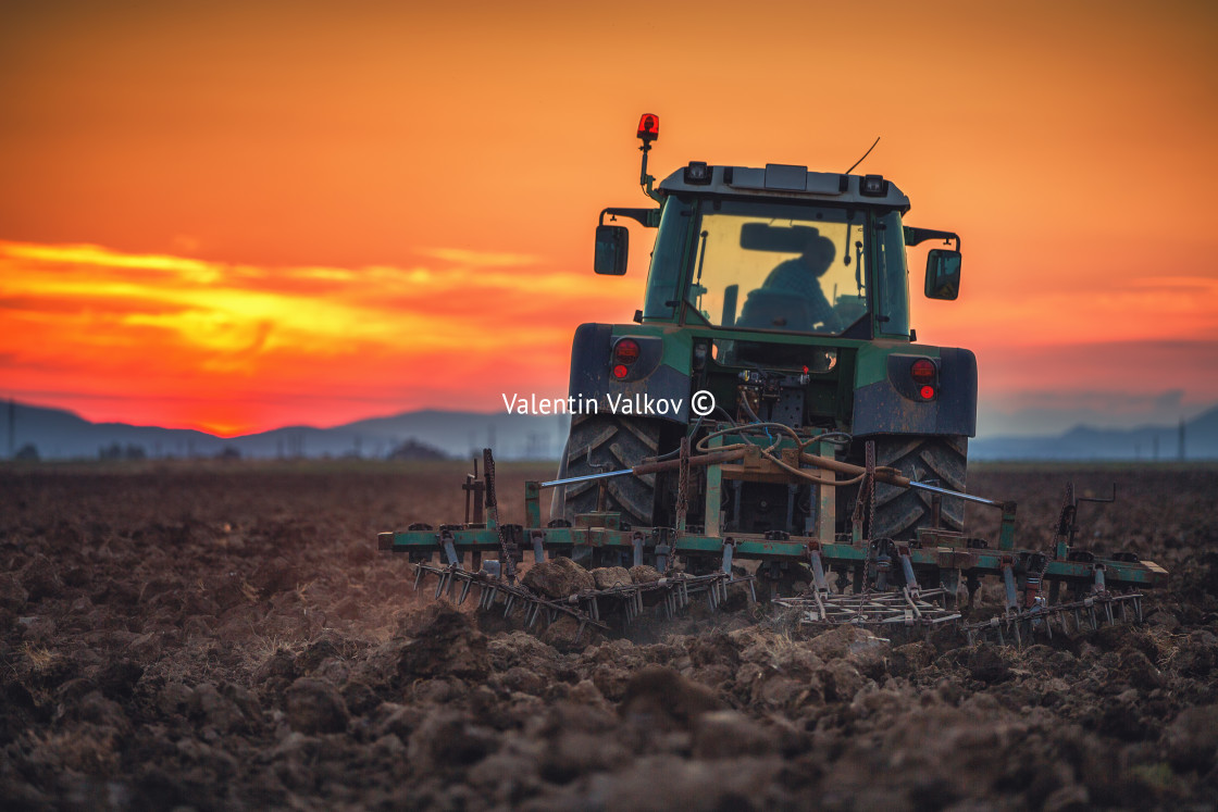 "Beautiful sunset, farmer in tractor preparing land with seedbed" stock image