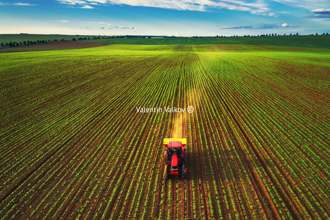 "Tractor cultivating field at spring" stock image