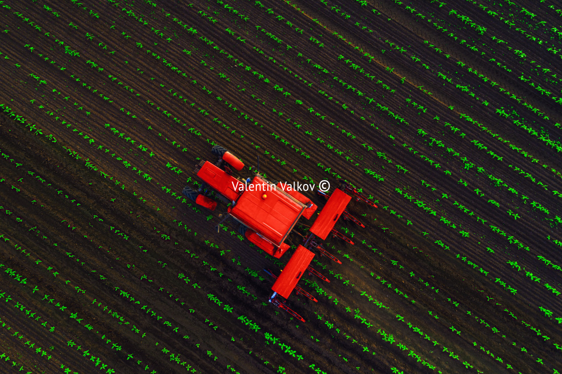 "Tractor cultivating field at spring,aerial view" stock image