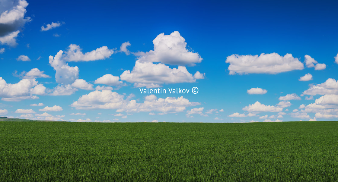 "Green field and cloudy sky" stock image