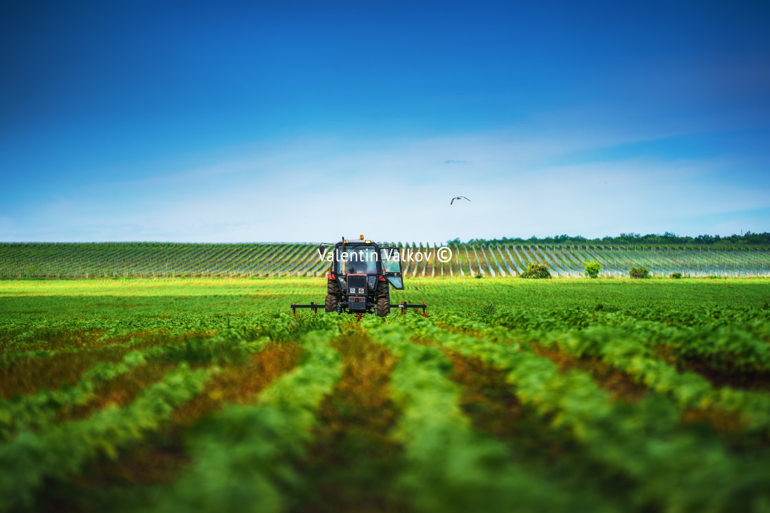 "Farmer in tractor preparing land with cultivator in spring" stock image