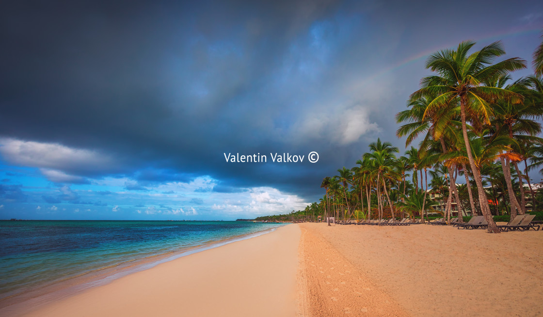 "Palm trees on the tropical beach" stock image