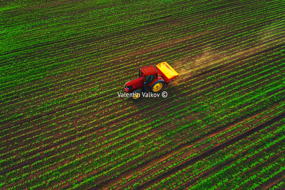 "Tractor cultivating field at spring" stock image