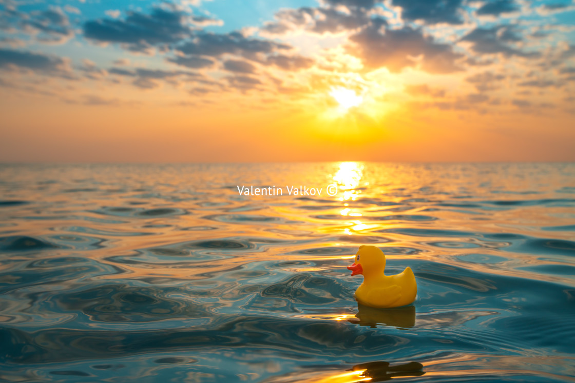 "Yellow rubber duck toy floating in sea water. Beautiful sunrise" stock image