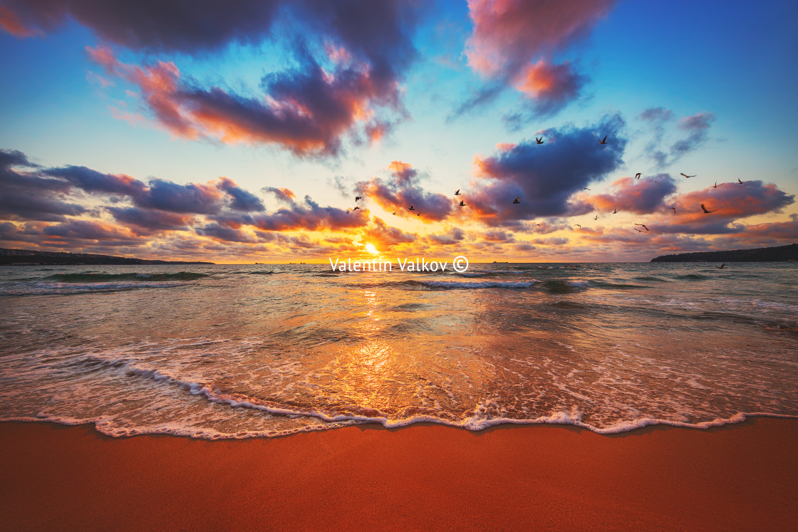 "Beautiful sunset over the tropical sea" stock image